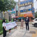 일월초 이미지