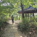 천년 역사 속 옛길 이미지