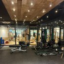 애플짐 | 대치동헬스장 PT 합리적인 가격 애플짐휘트니스