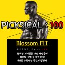 블로썸 핏 네이버블로그