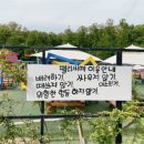 펠리시떼 네이버블로그