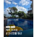 서귀포펜션 모나코풀에서 반려견과 여유로운 하루
