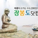 🛳 드디어 전구간 개통! 천혜의 비경을 자랑하는 섬 일주 데크길 | 걸어서 섬 한바퀴 | 📸 대중교통 당일치기 여행 이미지