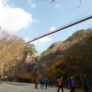 여든의 산책 / 이실경 이미지