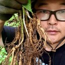 삼부자농장 이미지