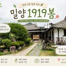 1919 | 밀양 카페 추천｜한옥 감성 가득한 1919봄 방문 후기