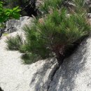 천병약수터 이미지