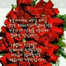 오늘도 이미지