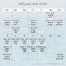 성인발레 입문,초급 이미지