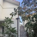 GS25이태원힐점 | 석정힐 cc 골프텔 고창 힐링카운티 펜션&amp;리조트 후기