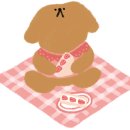 도도한댕댕 이미지