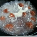 옹심이팥죽 이미지