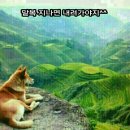 덕촌초교 Daum카페