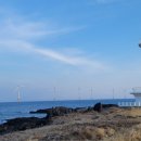 개물목장 이미지