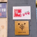 고요의계절 이미지