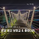 영강체육공원 | 문경 점촌 가볼만한 곳 출렁다리 흔들다리 영강 보행교 영강체육공원 야간 명소 야경이 예쁜곳 입장료 무료