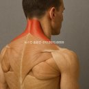 뉴 스킨 | 목이 자주 뭉치는 날, 전용젤과 함께한 집중 관리 후기 뉴스킨 웰스파 iO 내돈내산