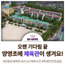 양영초등학교 이미지