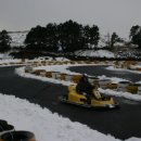 간세다리 이미지