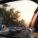 섬진강제첩국 이미지