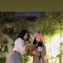 풍차쭈꾸미 이미지