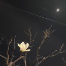 이디야 서대문구청점