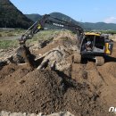 남천제방 이미지