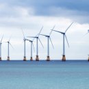 티에스엠씨 이미지