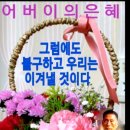 정도합기도 이미지