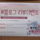 벨라몽 이미지