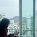 240문장으로 배우는 초보탈출 진짜 영어표현 (2) | 왕초보 영어 공부 영국문화원 화상영어 블프 40% 할인 해외여행 준비