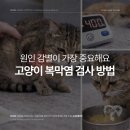 심동물병원 이미지