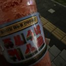 [퇴근후N] 힐링하는 그림과 함께하는 캘리그라피 | 봄에도 겨울에도 해가 질 무렵에도