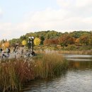 올림픽공원 이미지