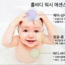 워시홀 이미지