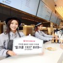 밀크 카카오 검색결과