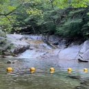 이모네칼국수 이미지