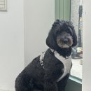 홍대상수 미용실 어나더즈 헤어 커트 리뷰