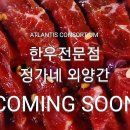 ATLANTIS CONSORTIUM "정가네 외양간" 이미지