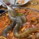 송가원빨간뻘낙지 이미지