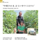 대천농장 이미지