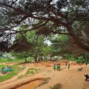 대정헬스케어 이미지