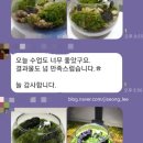 복지원예사 | 테라리움 다육아트 가드닝 꽃바구니 원예 식물 수업 수강생들 수업후기