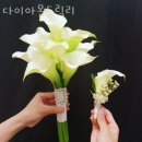 다이아몬드릴리