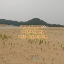 여주좋은땅공인중개사사무소 이미지