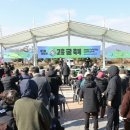 굴축제 티스토리