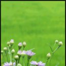 내마음의여행 이미지