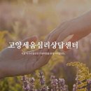 세움심리상담센터
