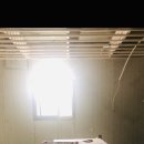 댕댕농부 이미지