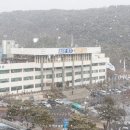 파발로 이미지